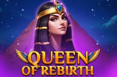freecash Support routes